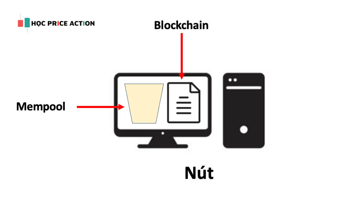 thực tế cấu tạo của một nút mạng Bitcoin