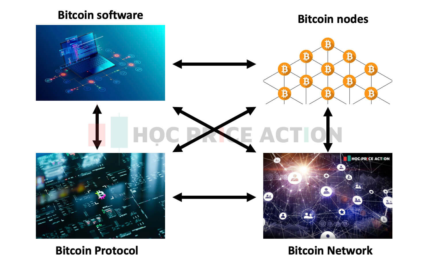 hệ thống Bitcoin và các thành phần