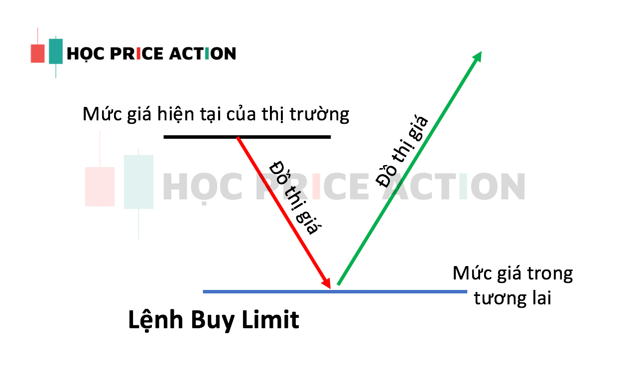 lệnh buy limit là gì