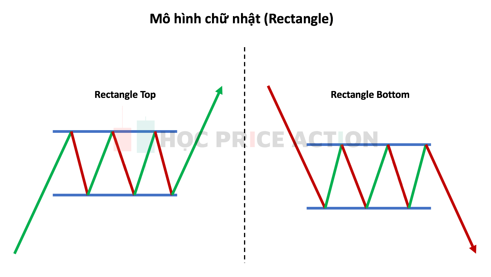mô hình chữ nhật retangle