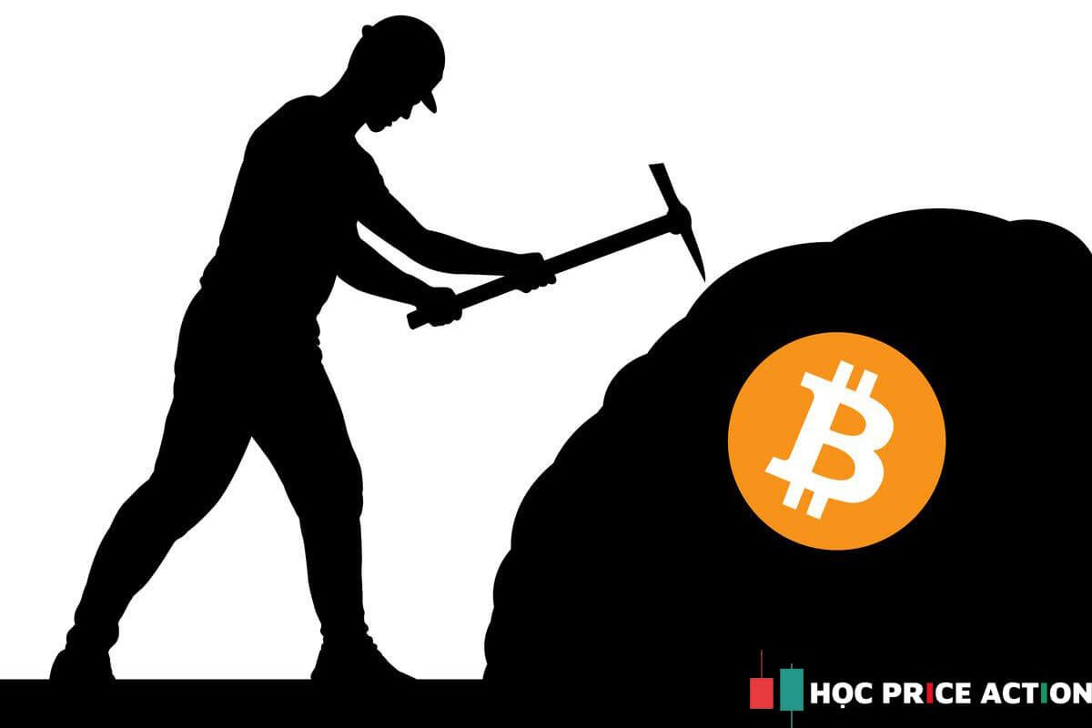 công cụ đào bitcoin là gì